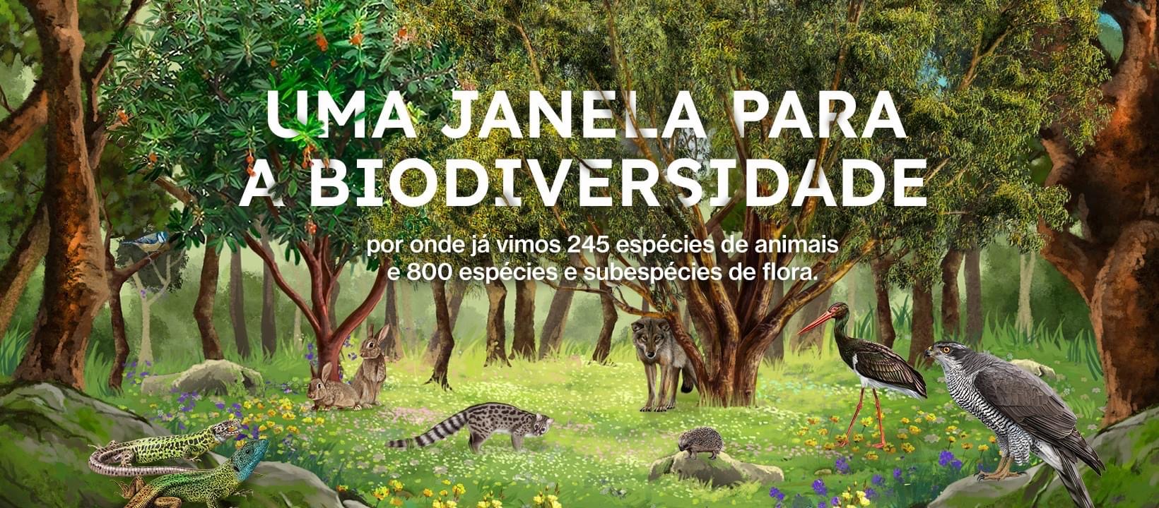 (c) Biodiversidade.com.pt