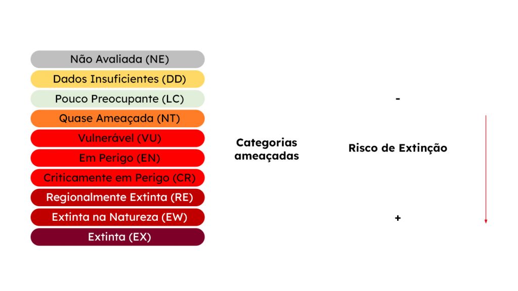 O risco de extinção e os diferentes níveis de ameaça