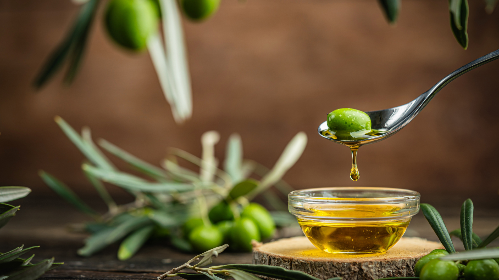 04 - BIOgaleria - Zambujeiro ou Oliveira 1920x1079px_03